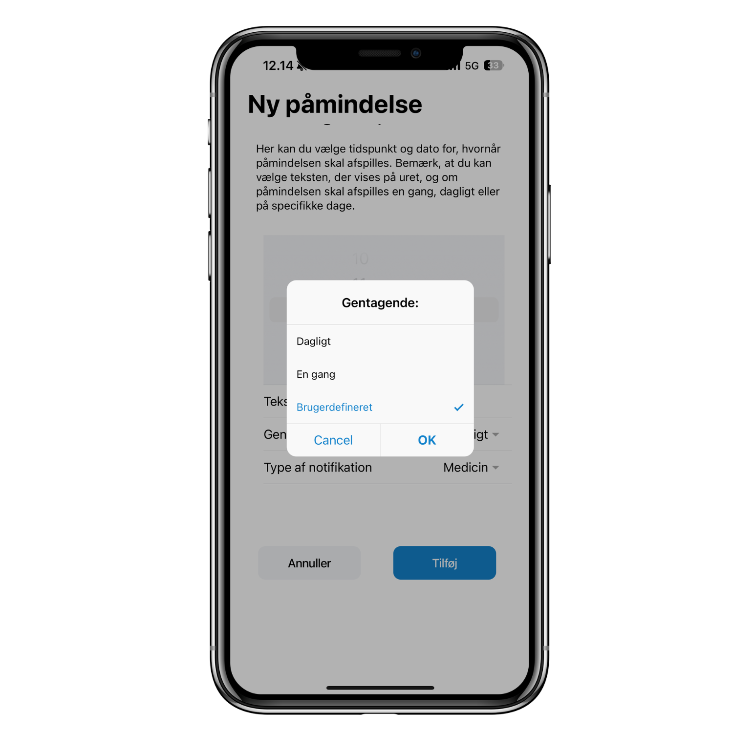 5. Medicinpa╠èminnelse (Danska) app