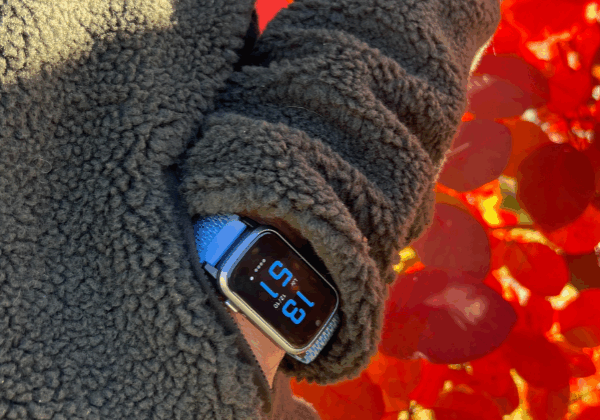 Sensorem_höst_2_wide